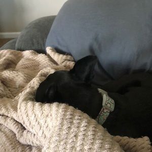 Meet your Posher, Alicia